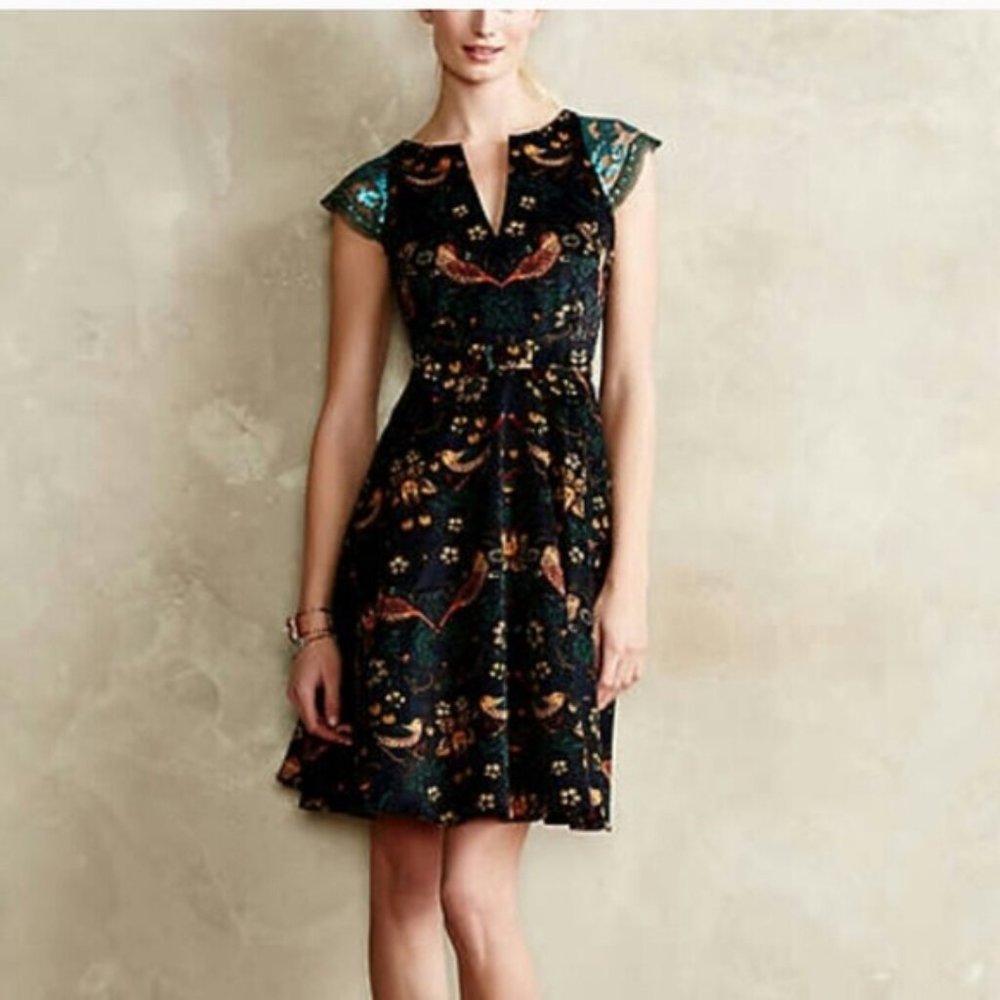 Anthropologie Eva Franco Larksong Dress - Rare